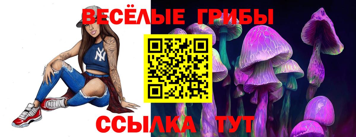 Псилоцибиновые грибы Psilocybine cubensis  Вход с VPN  Старая Купавна 